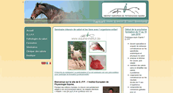 Desktop Screenshot of institut-equine.com